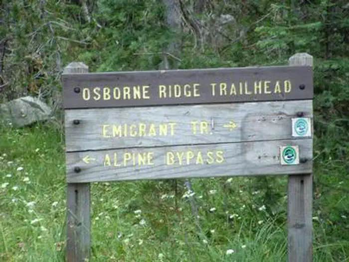 Camper submitted image from (lake Alpine) Lodgepole Campground - 1