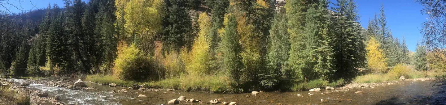 Camper submitted image from Little Bear Group - 1