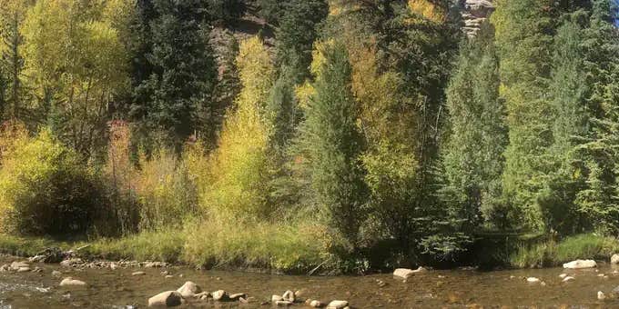 Camper submitted image from Little Bear Group