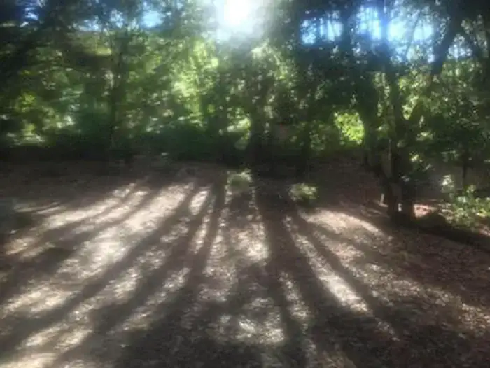 Camping near Redwood Cabin Nestled in the Oaks and Tent Top Cabin in the oaks: China Camp Campground, Big Sur, California