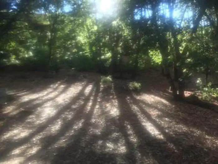 Camper submitted image from China Camp Campground - 1