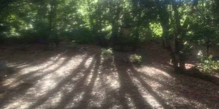 Camper submitted image from China Camp Campground