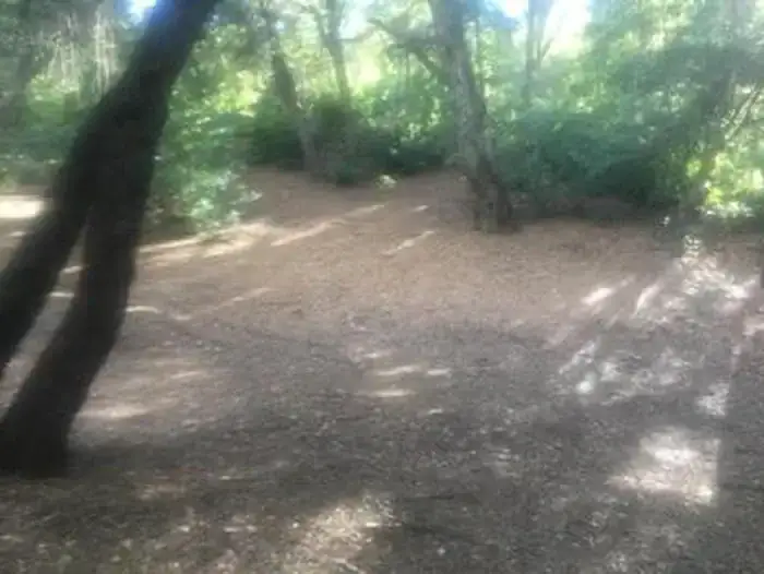 Camper-submitted photo at China Camp Campground near Soledad, CA