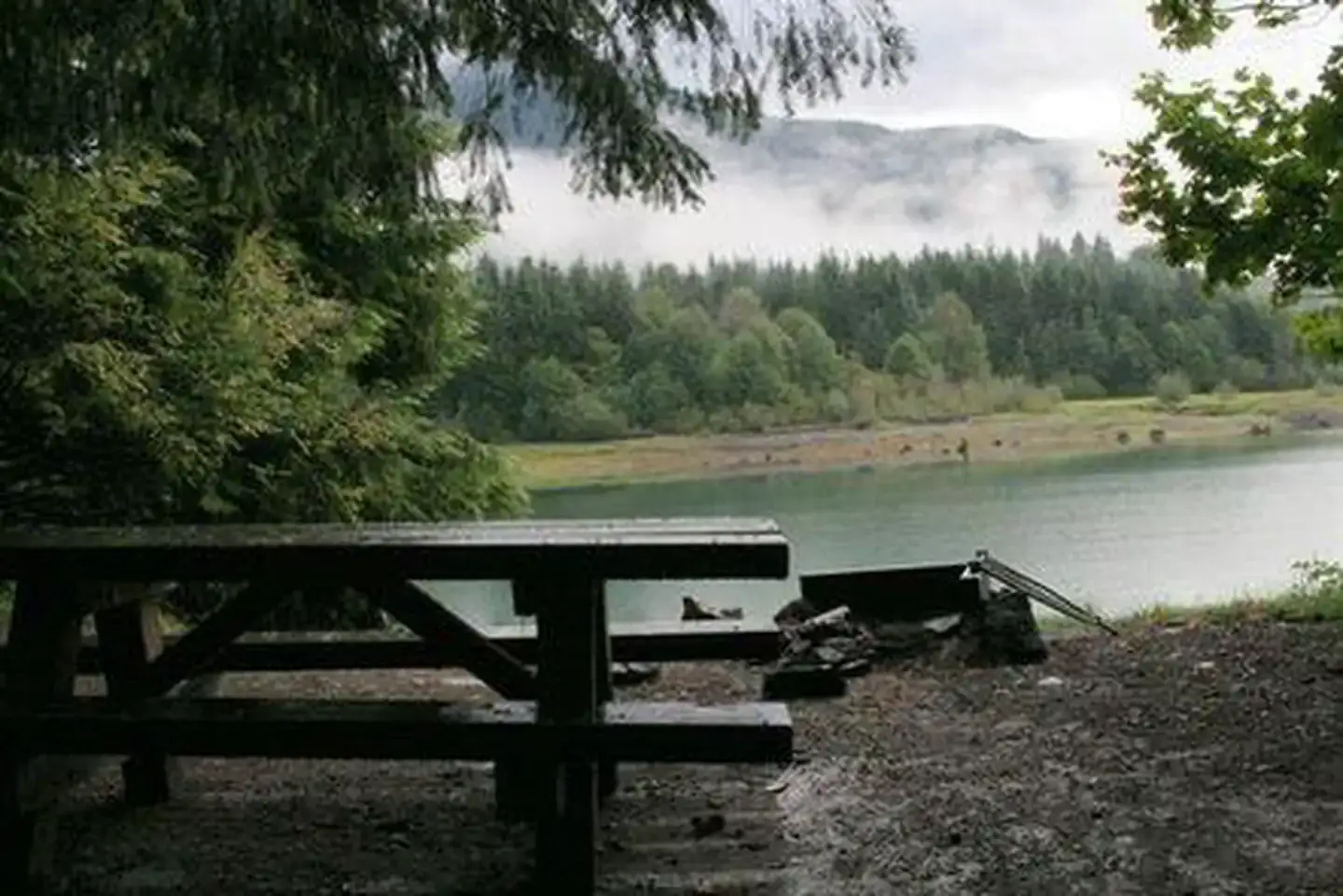 Camper-submitted photo at Panorama Point Campground near Maple Falls, WA