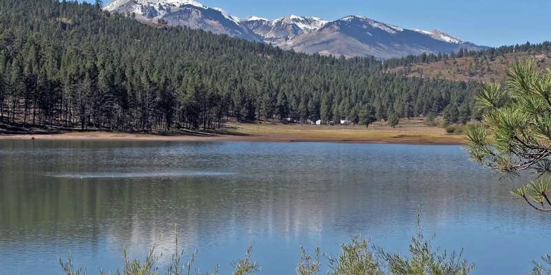 Camper submitted image from Buckeye Campground