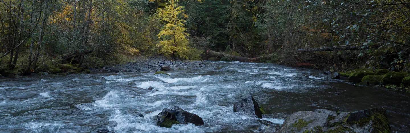 Camper submitted image from Panther Creek Campground - 1