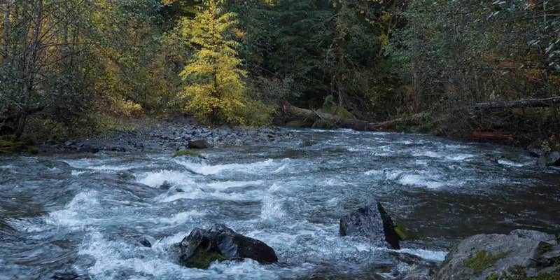 Camper submitted image from Panther Creek Campground