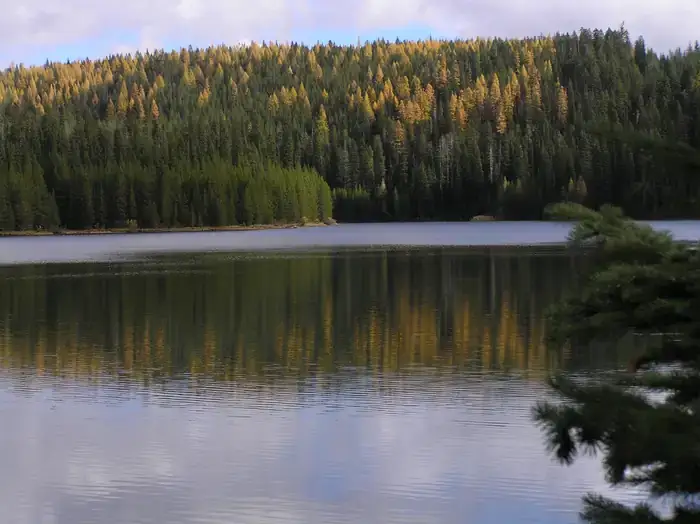 Camper-submitted photo at Jubilee Lake Campground (Or) — Umatilla National Forest near Dixie, WA