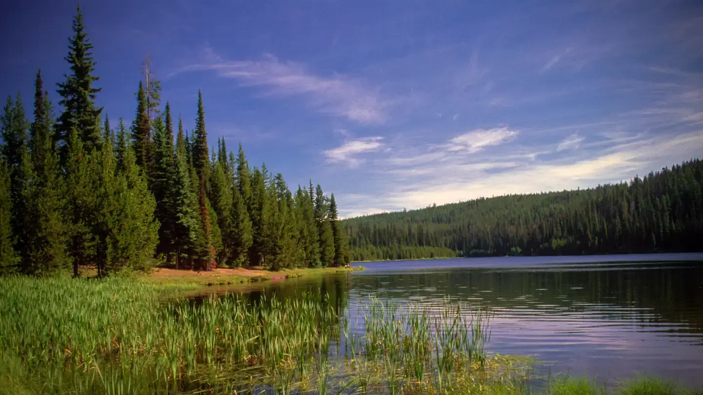 Camper-submitted photo at Jubilee Lake Campground (Or) — Umatilla National Forest near Dixie, WA