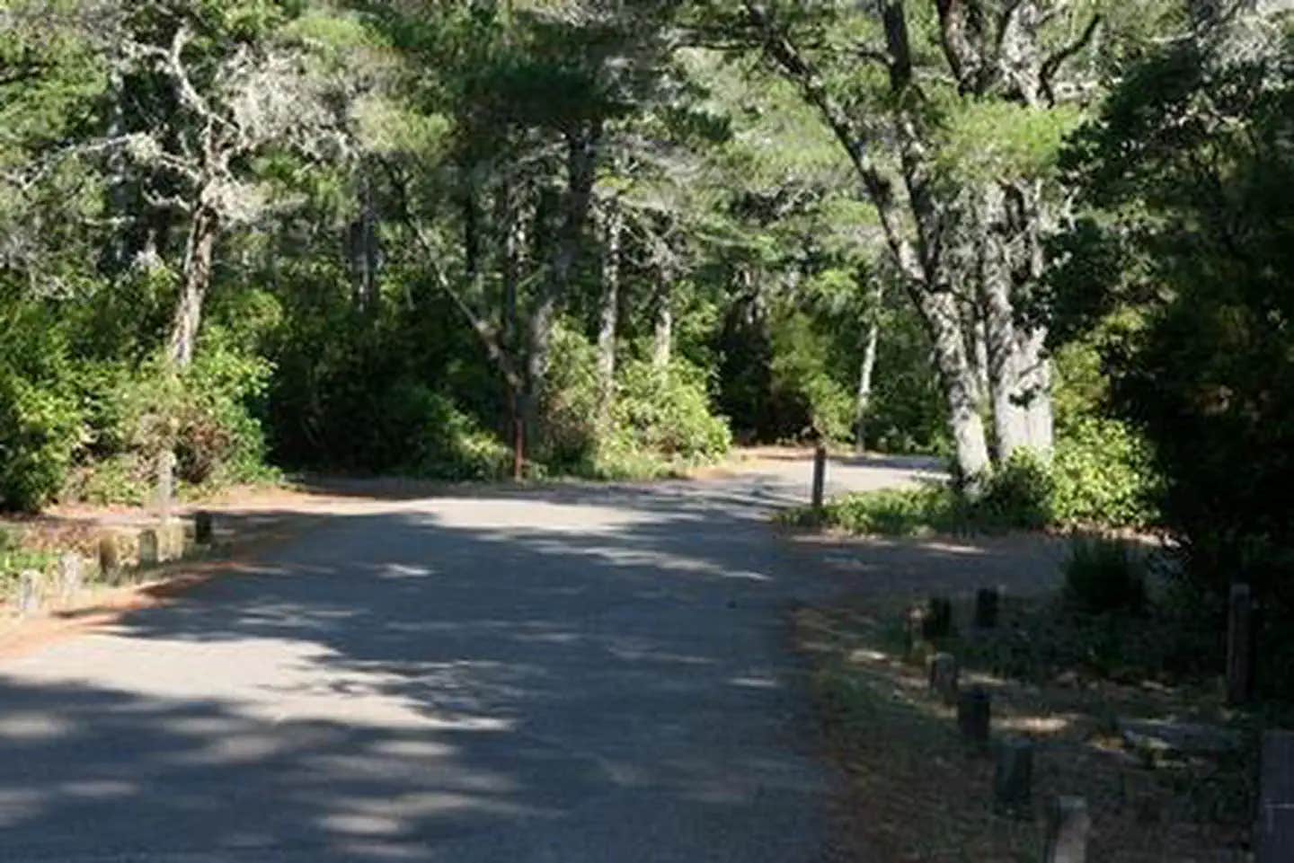 Camper submitted image from Eel Creek Campground - 1