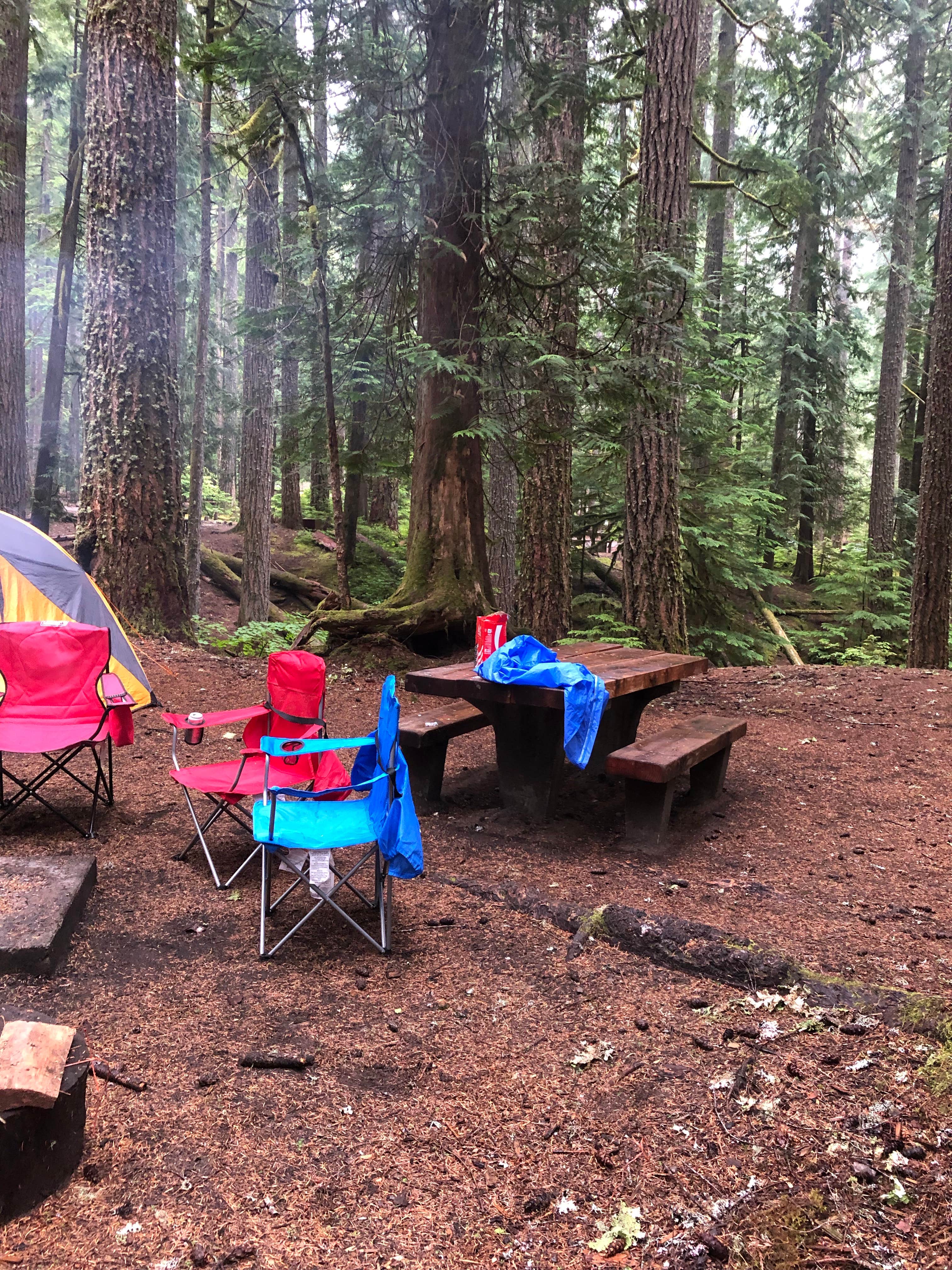 Chad K.'s photo at Ohanapecosh Campground — Mount Rainier National Park near Paradise, WA