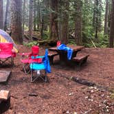 Review photo of Ohanapecosh Campground — Mount Rainier National Park by Chad K., August 4, 2019