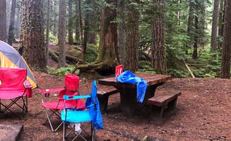 Chad K.'s photo at Ohanapecosh Campground — Mount Rainier National Park near Paradise, WA