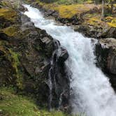 Review photo of Ohanapecosh Campground — Mount Rainier National Park by Chad K., August 4, 2019