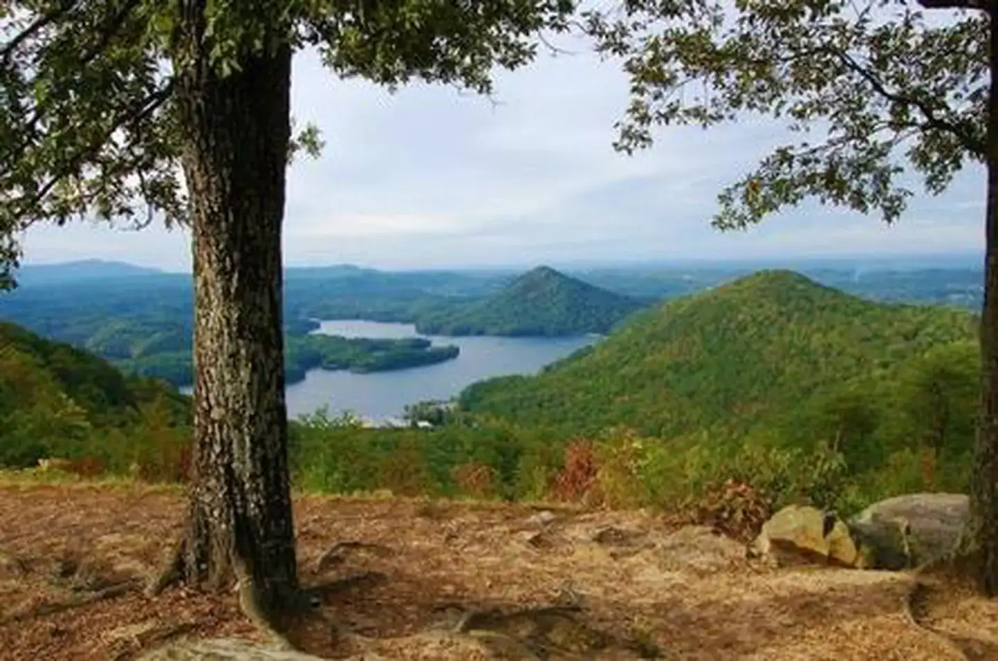Camper-submitted photo at Chilhowee Recreation Area near Etowah, TN