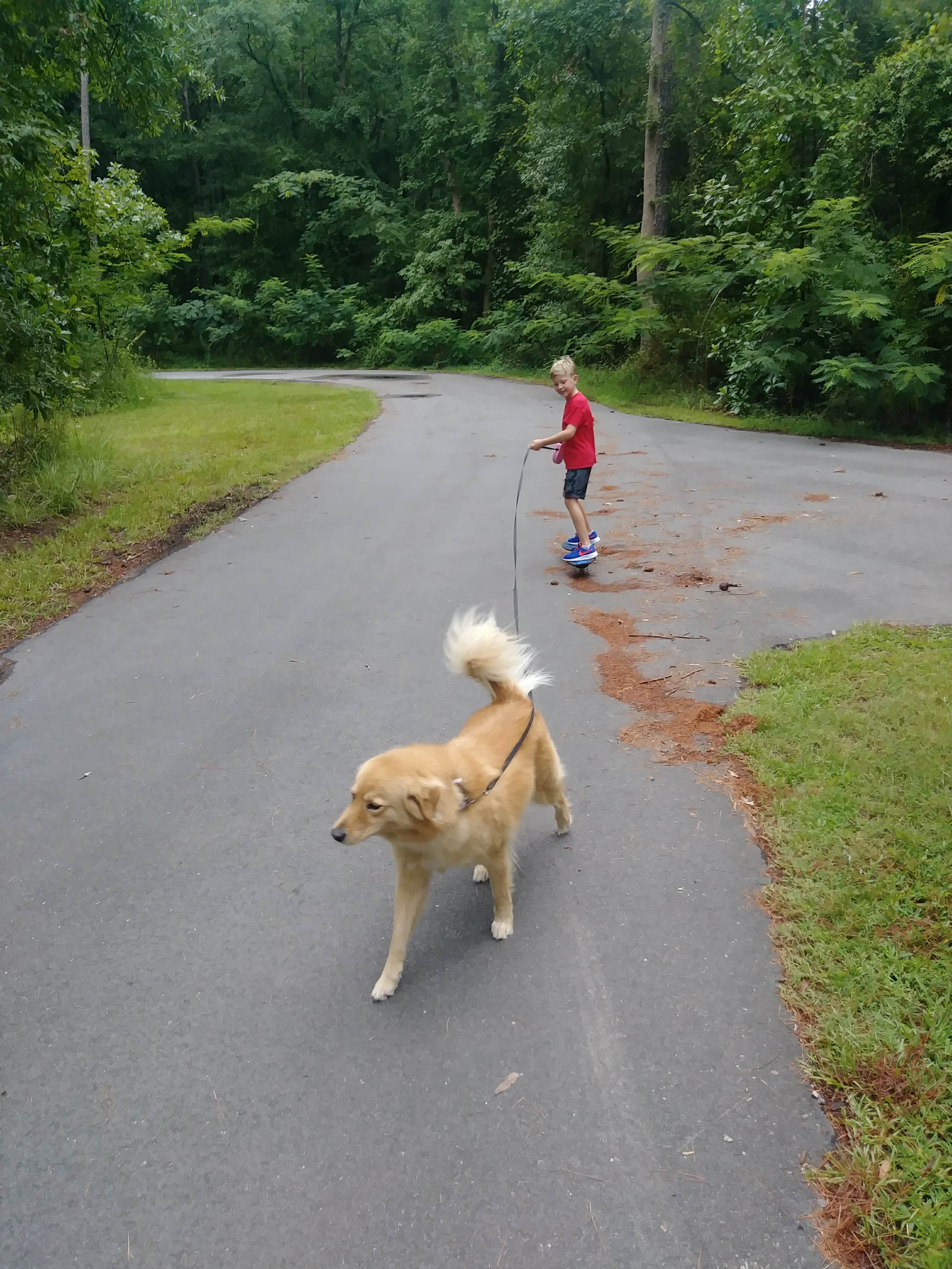 Paul R.'s photo of camping with pets at Seymour Johnson AFB FamCamp near Rocky Mount, NC