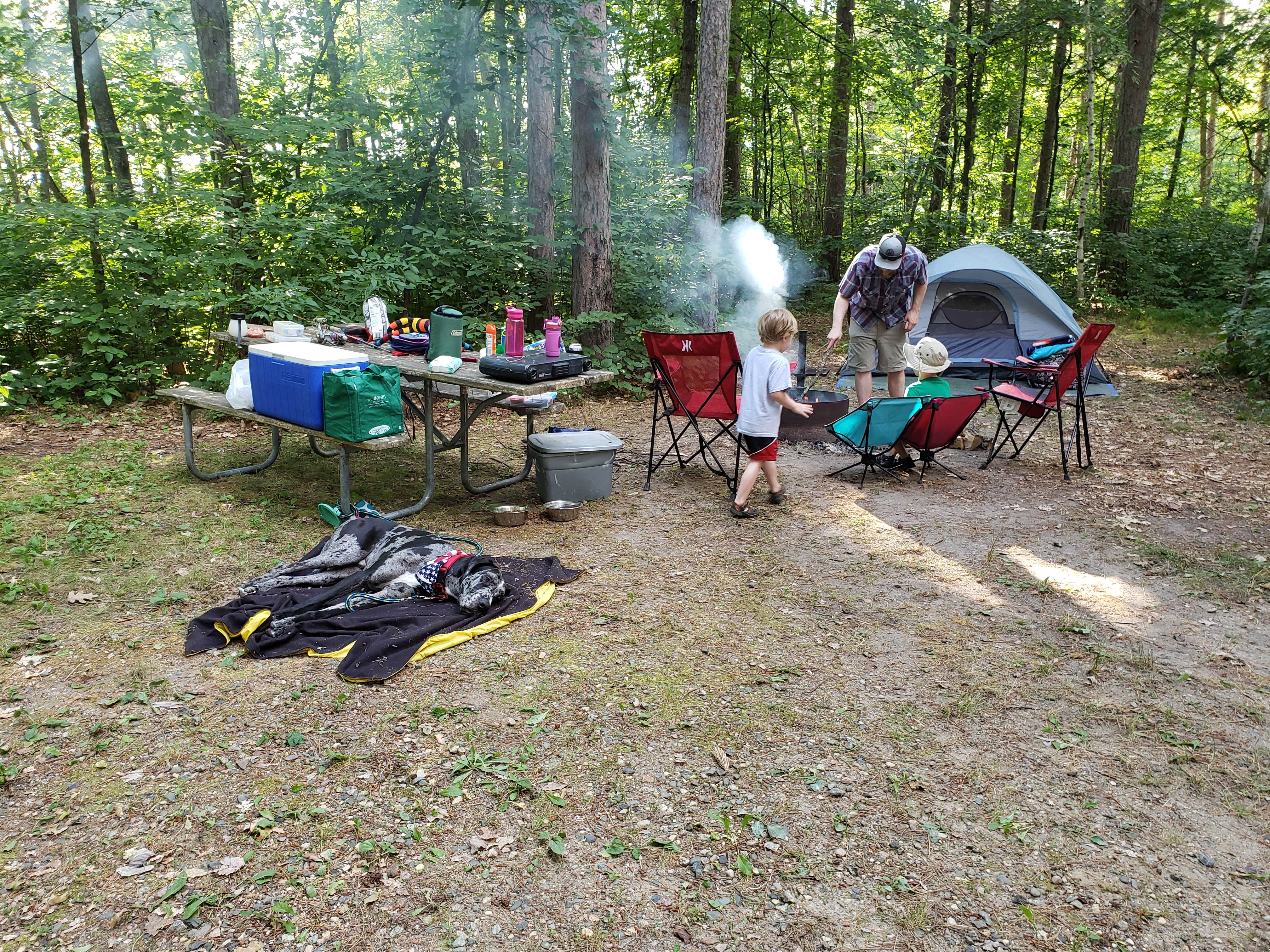 Camper-submitted photo at Cass Lake Loop near Chippewa National Forest