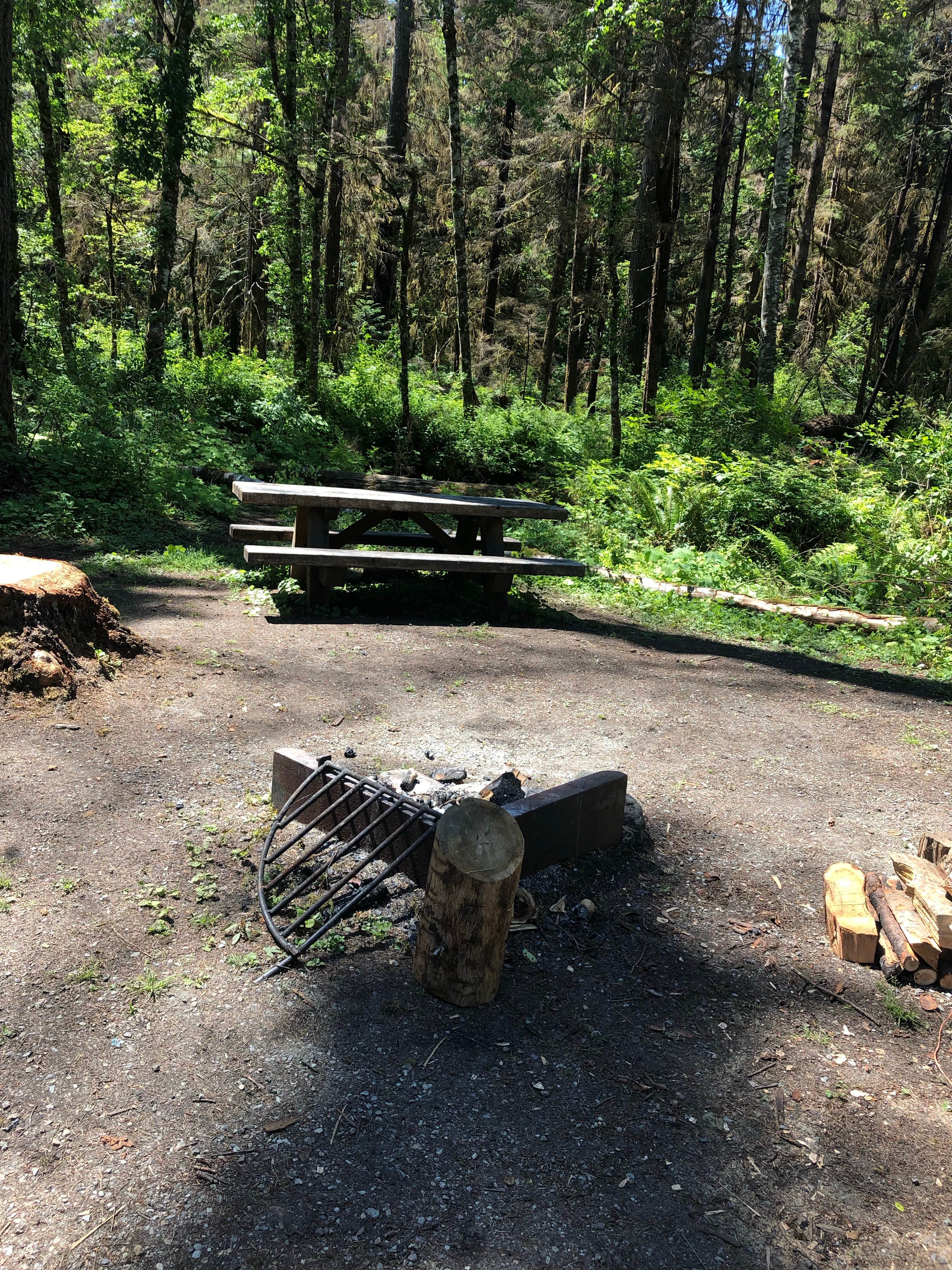 Camper submitted image from Park Creek Campground - 2