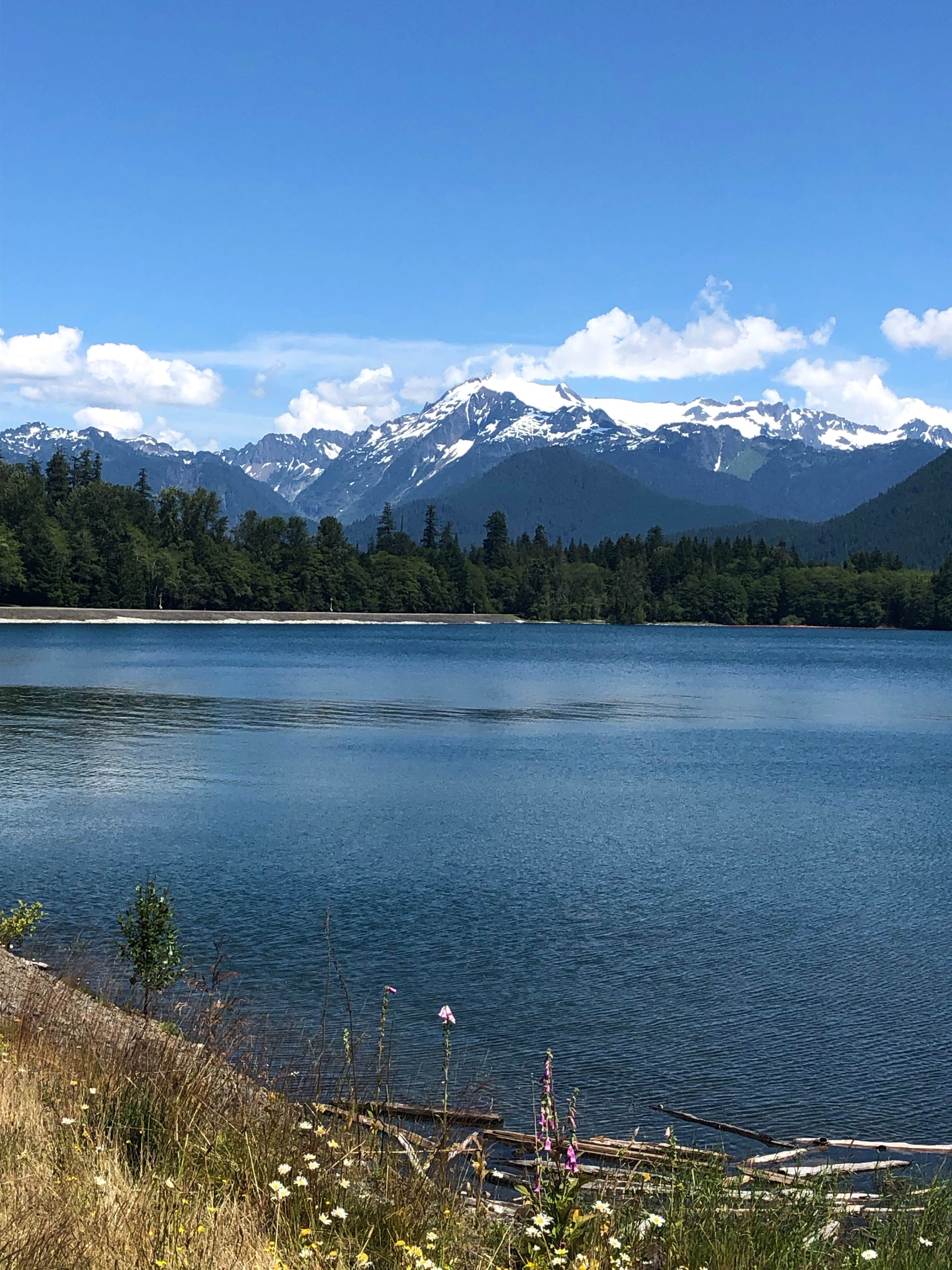 Camper submitted image from Park Creek Campground - 5