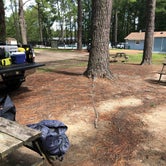 Review photo of North Bayshore Campground by Nate C., August 4, 2019