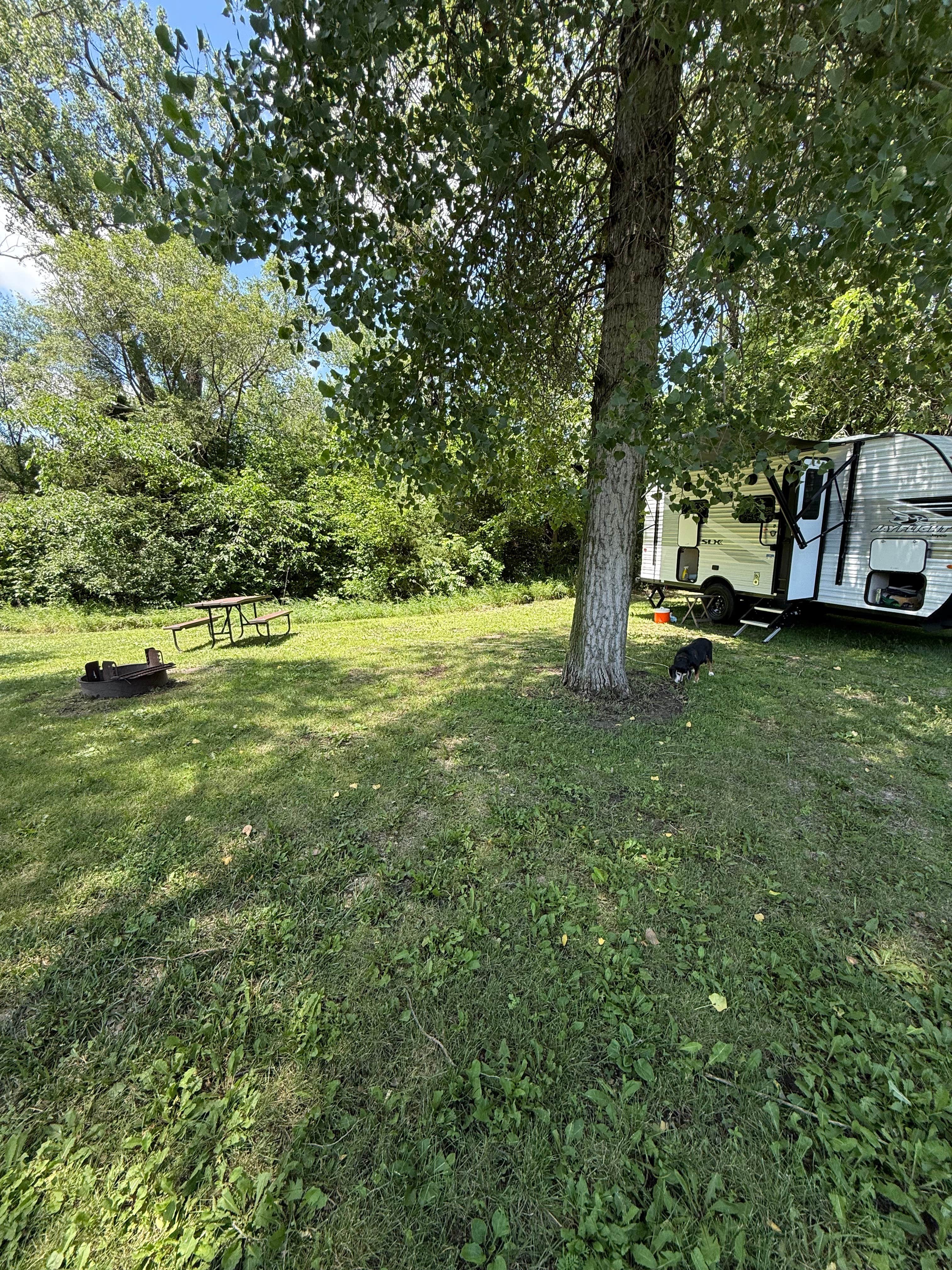 jason B.'s photo of camping with pets at Victoria Springs State Rec Area near Halsey, NE