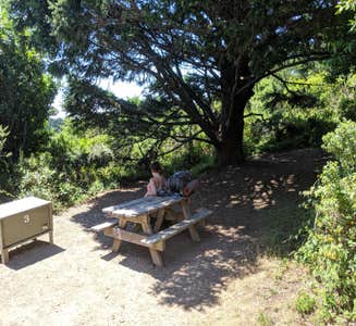Camper-submitted photo from Sky Campground — Point Reyes National Seashore