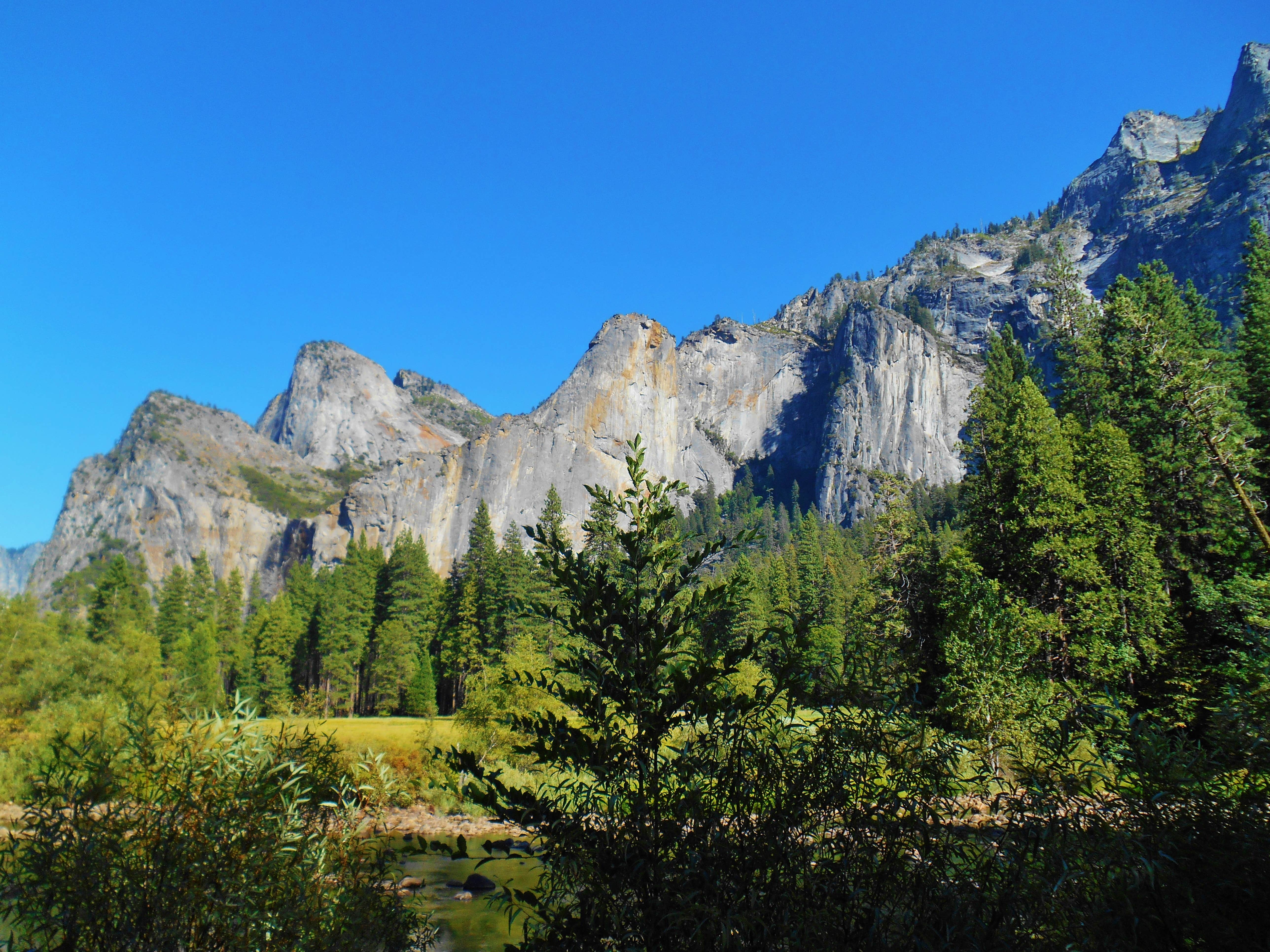 Camper-submitted photo at Yosemite Creek — Yosemite National Park near Wawona, CA