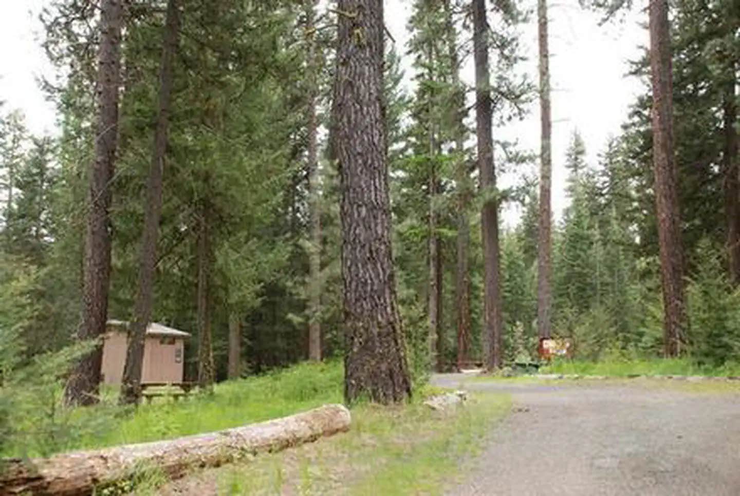 Camper submitted image from Mineral Springs Group - 1