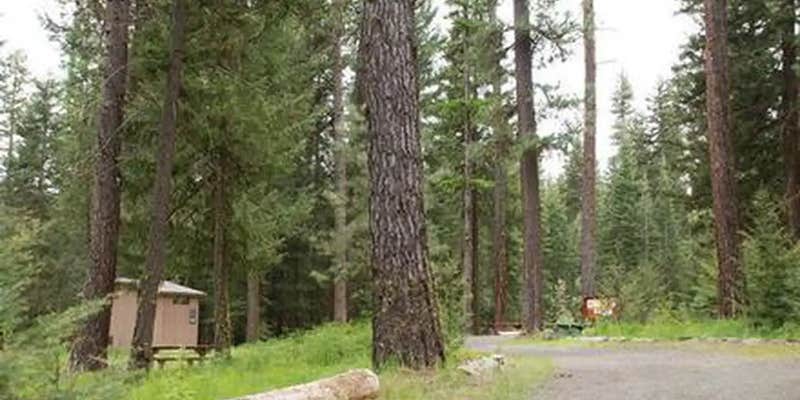 Camper submitted image from Mineral Springs Group