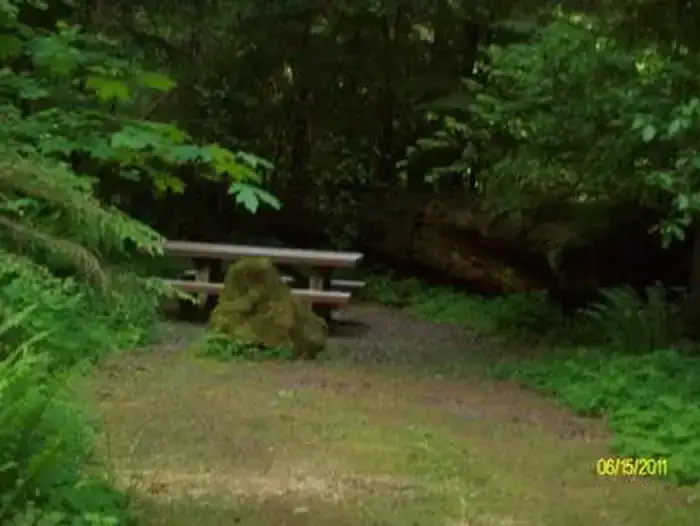 Camping near Cougar Crossing Campground — Willamette National Forest: Delta, Blue River, Oregon