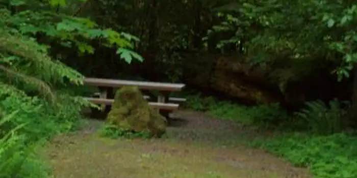 Camper submitted image from Delta