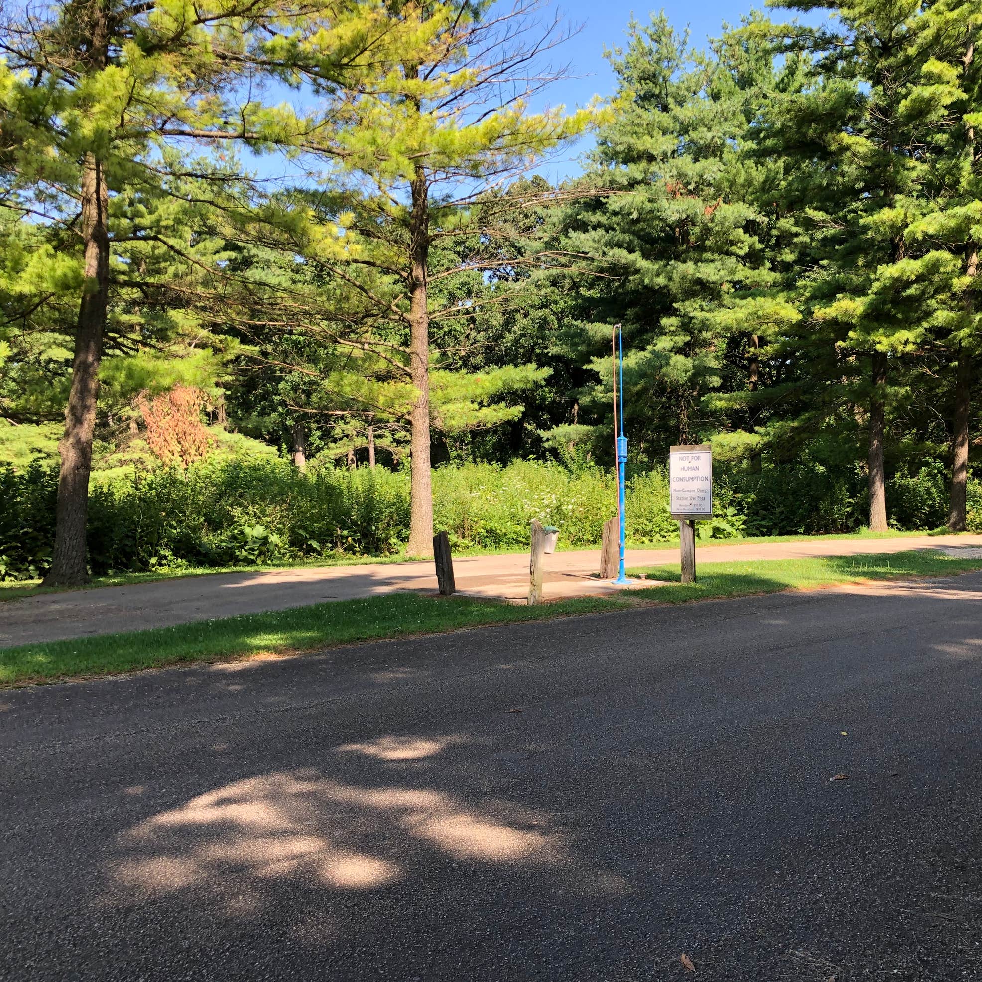 Seward Bluffs Forest Preserve Camping 