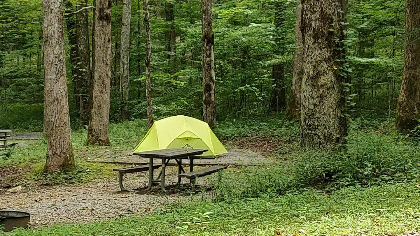 Camper submitted image from Cosby Campground — Great Smoky Mountains National Park - 1