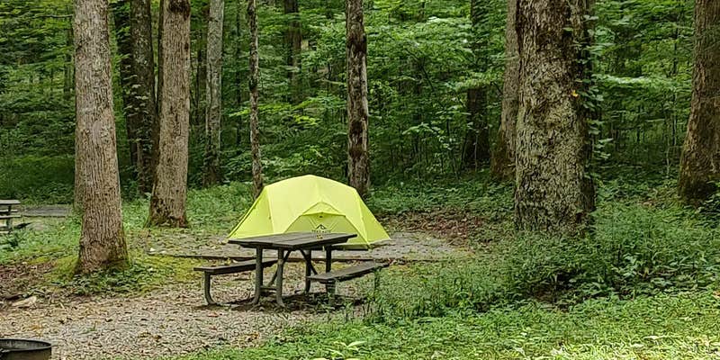 Camper submitted image from Cosby Campground — Great Smoky Mountains National Park