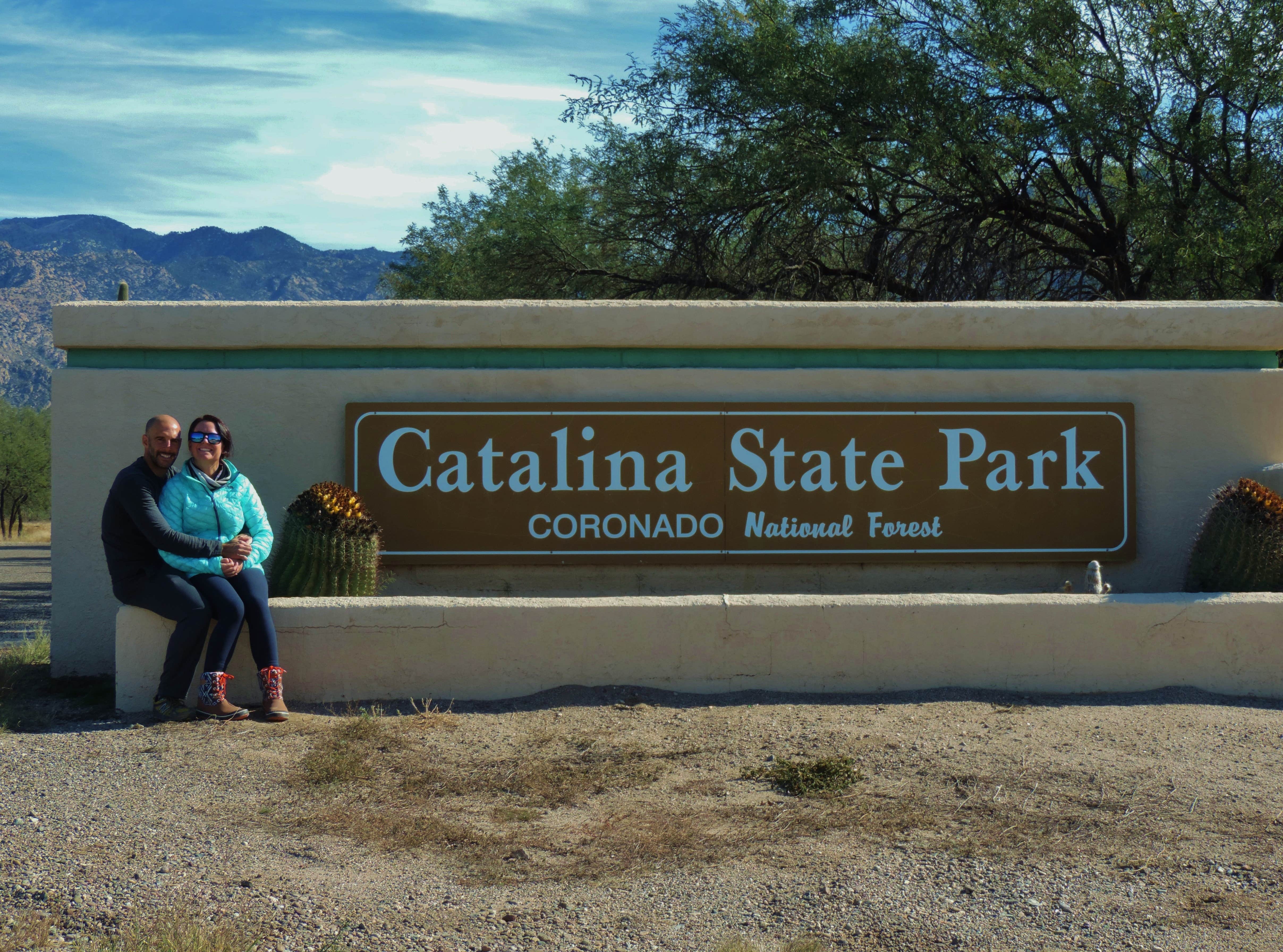 Camper submitted image from Catalina State Park Campground - 4