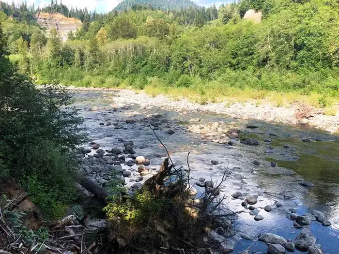 Camper-submitted photo at Gold Basin Campground near Sultan, WA