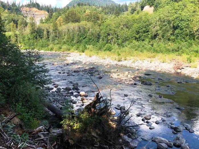 Camper submitted image from Gold Basin Campground - 1