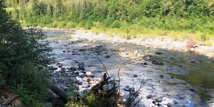 Camper submitted image from Gold Basin Campground