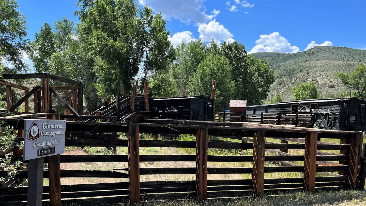 Camper submitted image from Cimarron Campground (CO) — Curecanti National Recreation Area - 1