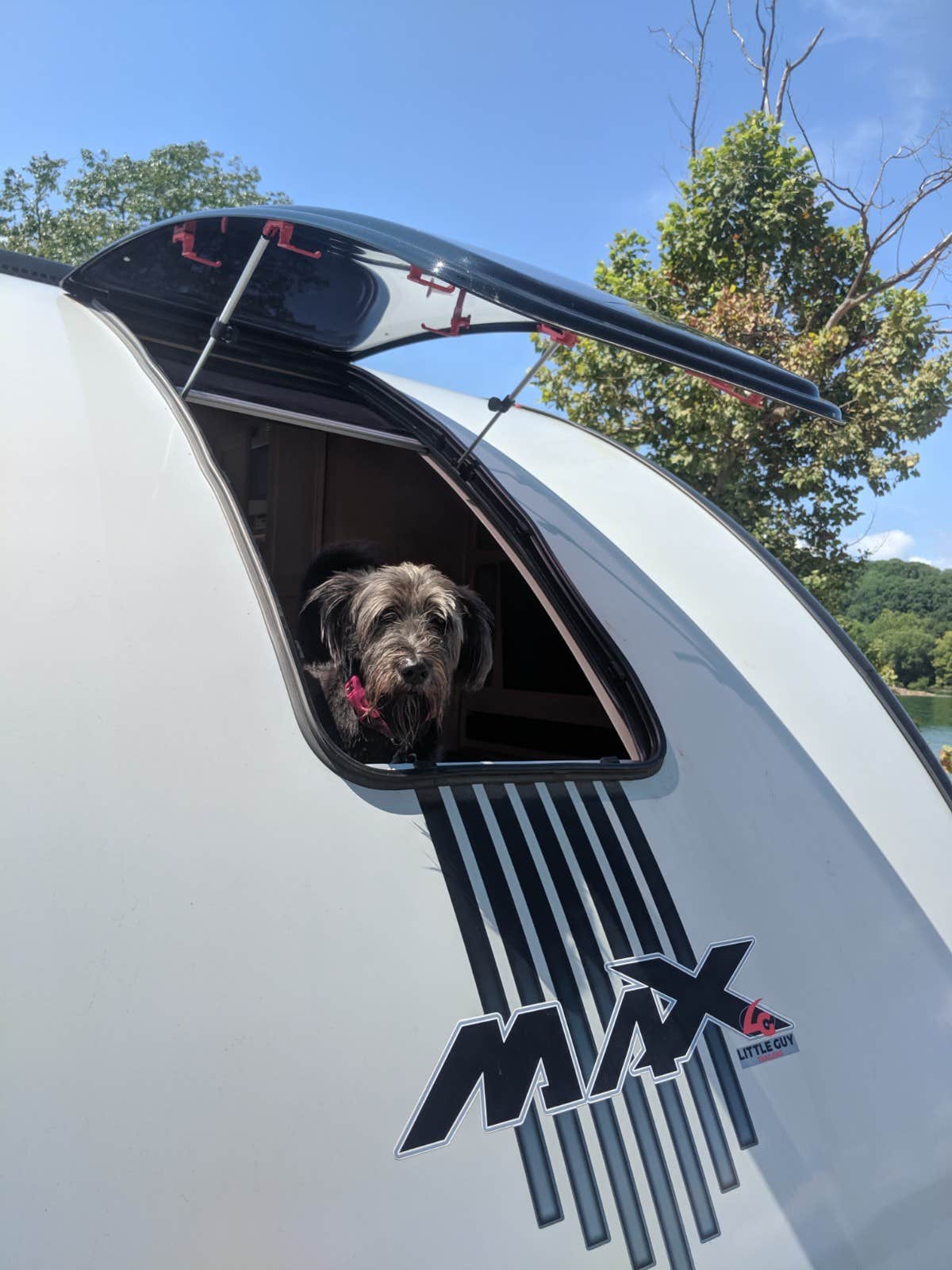 Mike G.'s photo of camping with pets at Lillydale Campground And Day Use near Livingston, TN
