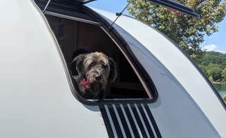 Mike G.'s photo of camping with pets at Lillydale Campground And Day Use near Byrdstown, TN