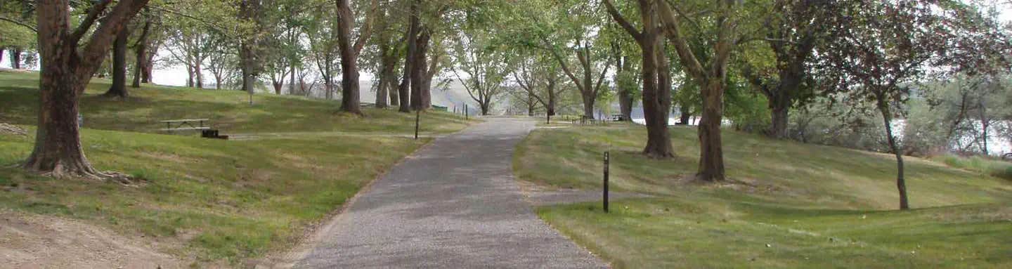 Camper submitted image from Fishhook Park - 1