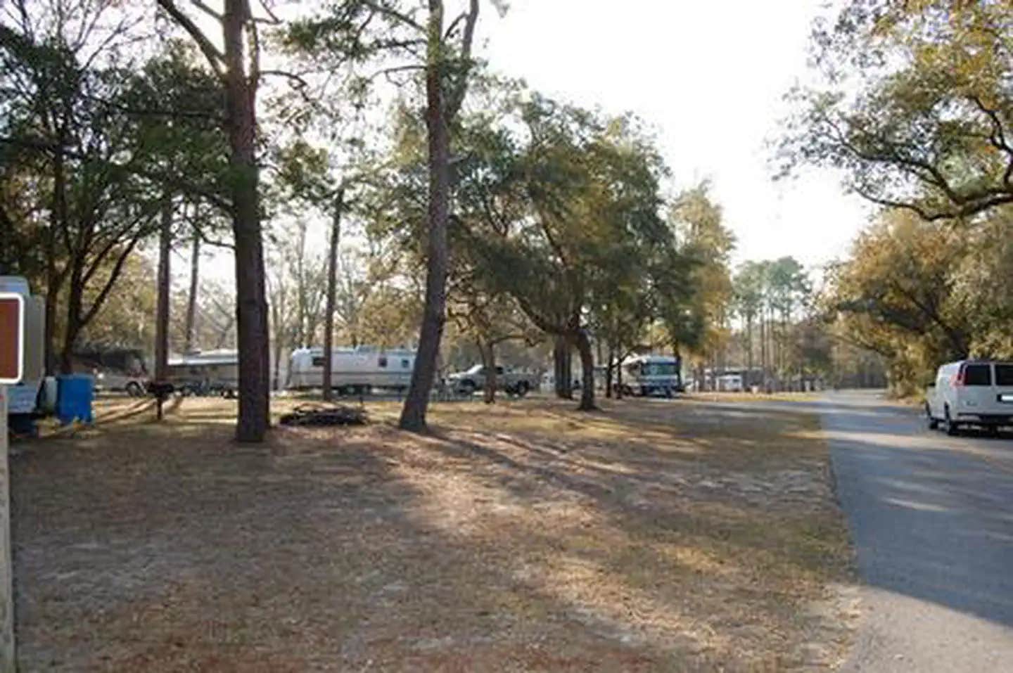 Camper submitted image from Salt Springs Recreation Area - 1