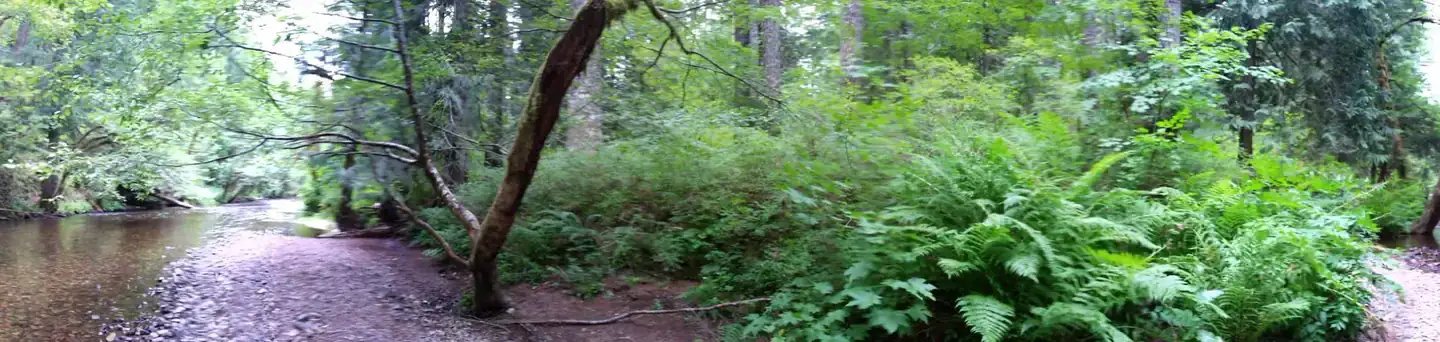 Camping near Gorge Base Camp RV Park: Moss Creek Campground, Underwood, Washington