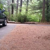 Review photo of Jessie M. Honeyman Memorial State Park Campground by Wendy M., September 24, 2016
