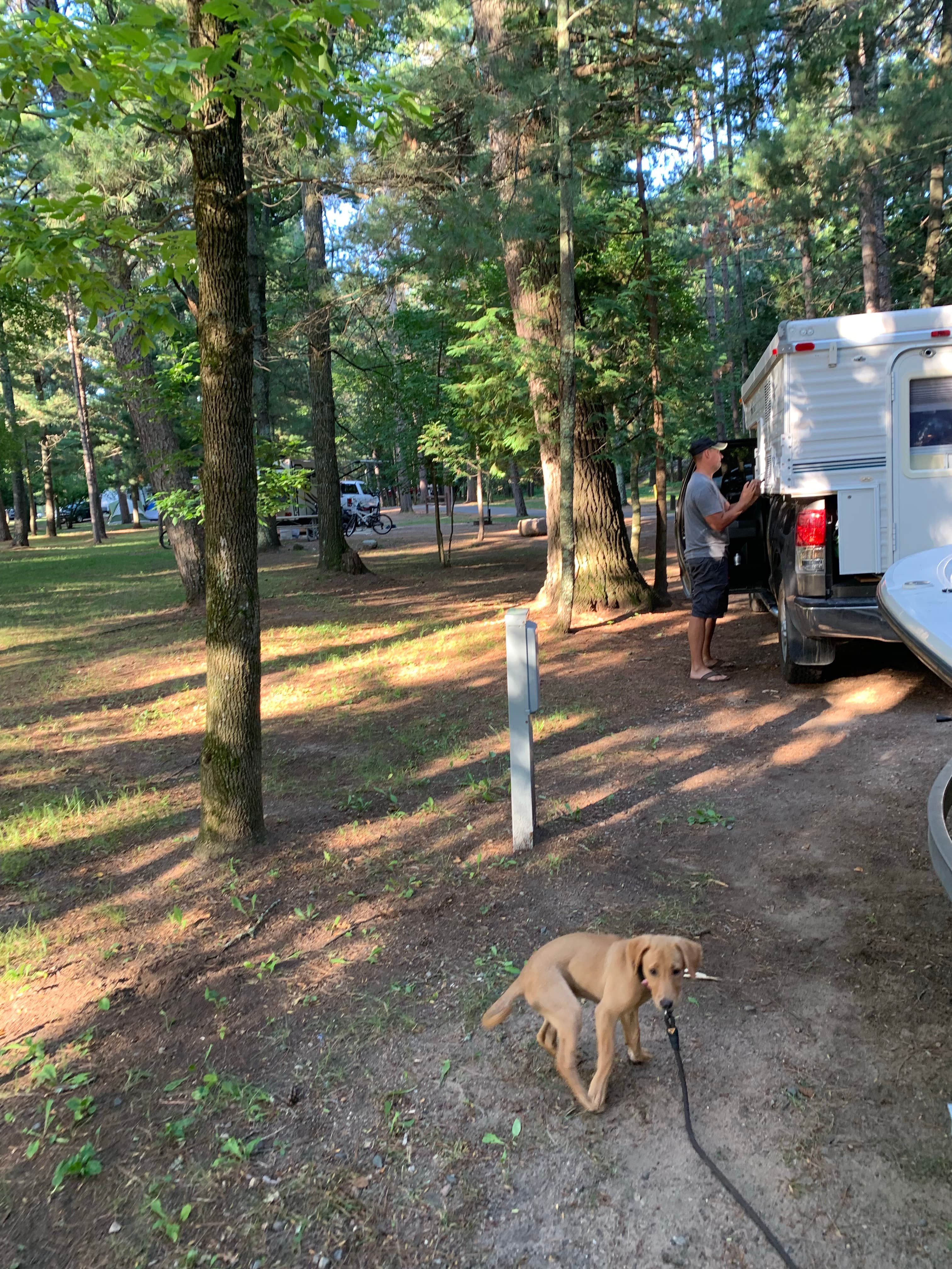 Camper-submitted photo at Cross Lake Recreation Area near Pequot Lakes, MN