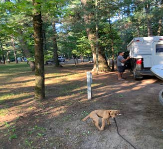 Camper-submitted photo from Cross Lake Recreation Area