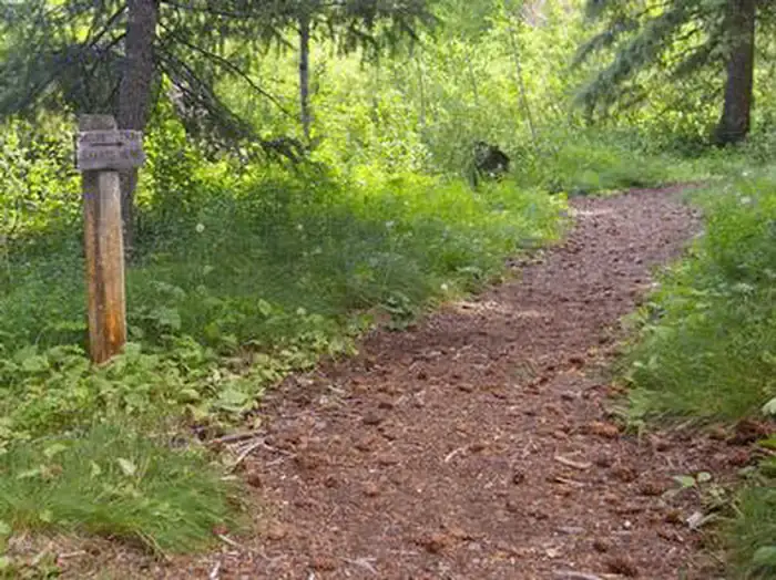 Camping near Baker Creek: Wood River Campground, Ketchum, Idaho