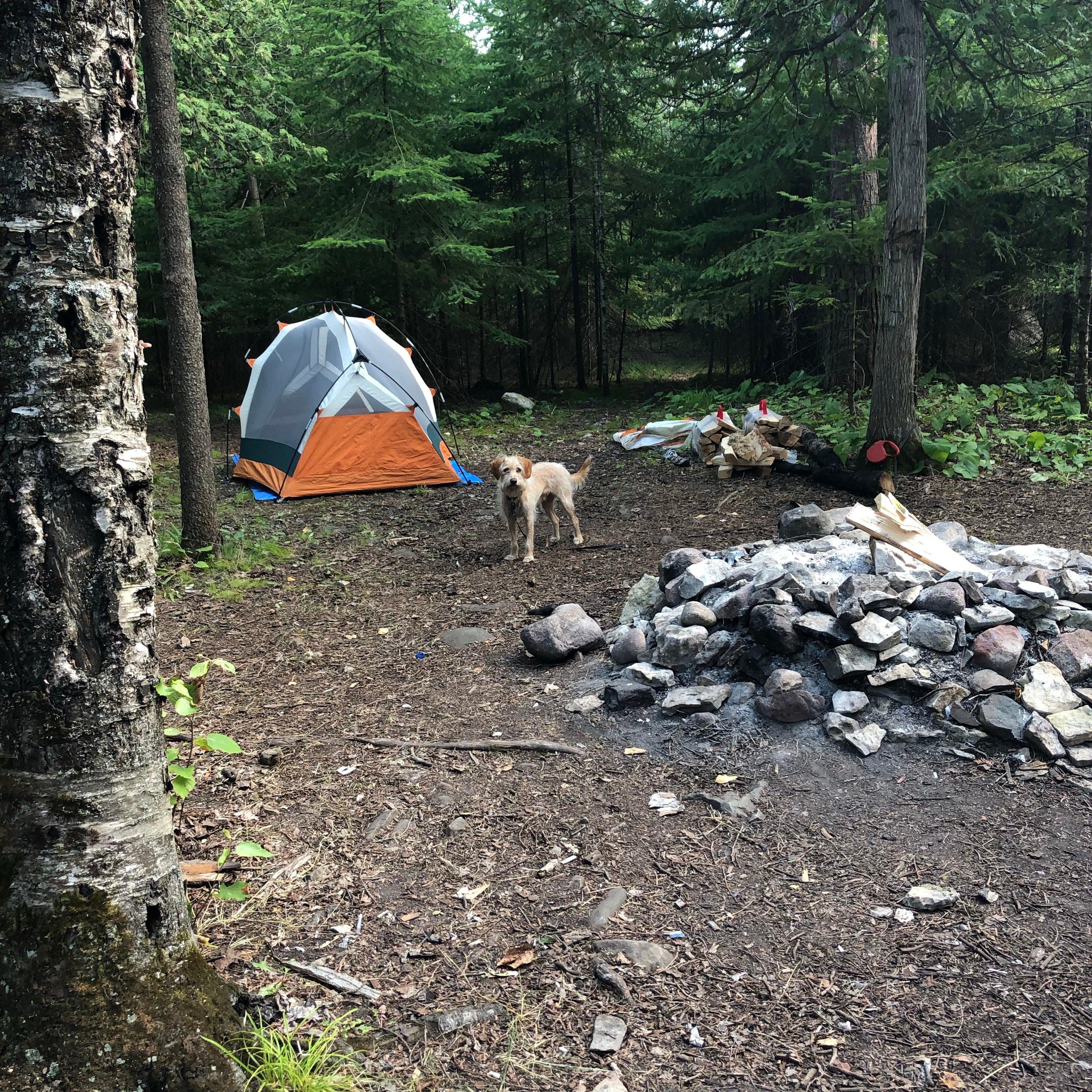 Camper submitted image from Drummond Island Township Park Campground - 5