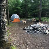Review photo of Drummond Island Township Park Campground by Kate K., August 4, 2019